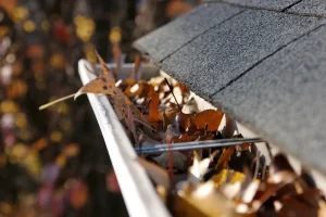 🏠 How Proper Gutter Maintenance Protects Your Roof and Home 🌧️