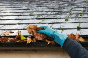 The Impact of Poor Roof Drainage on Your Home 💧🏠